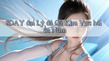8day  đại lý đá gà khu vực miền nam