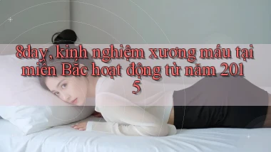 8day, kinh nghiệm xương máu tại miền Bắc hoạt động từ năm 2015