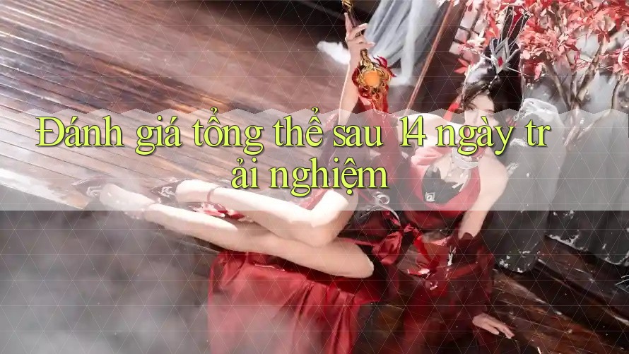 Đánh giá tổng thể sau 14 ngày trải nghiệm